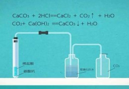 碳酸钙和盐酸反应的化学方程式和离子方程式及现象